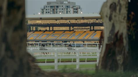 Rosehill Races Today .